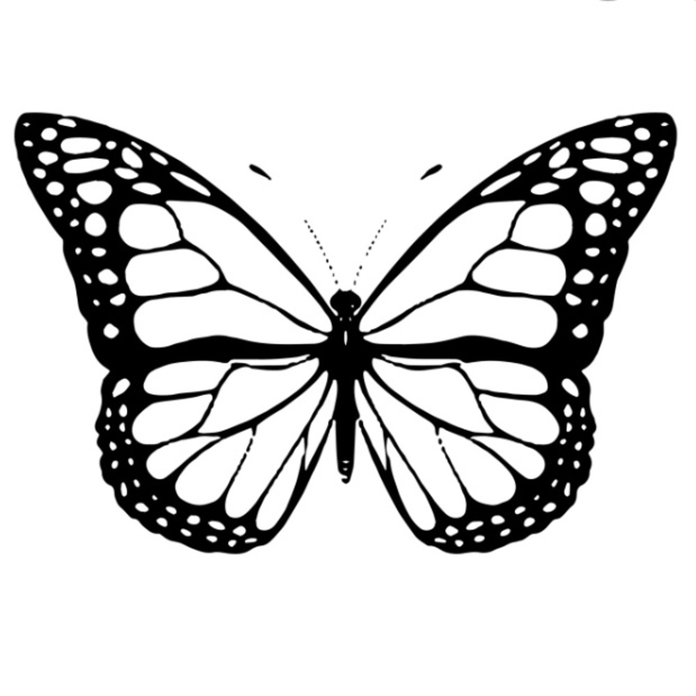 Meet your Posher, Bri!